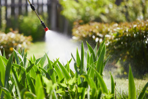 24/7 Emergency Fumigation Services experts in Pea Ridge, AR